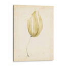 Acuarela Mar Hierba Iii - Grace Popp | Cuadro decorativo de Canvas Lab