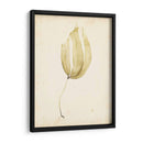 Acuarela Mar Hierba Iii - Grace Popp | Cuadro decorativo de Canvas Lab