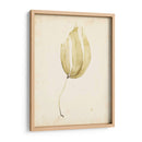 Acuarela Mar Hierba Iii - Grace Popp | Cuadro decorativo de Canvas Lab