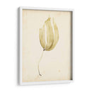 Acuarela Mar Hierba Iii - Grace Popp | Cuadro decorativo de Canvas Lab