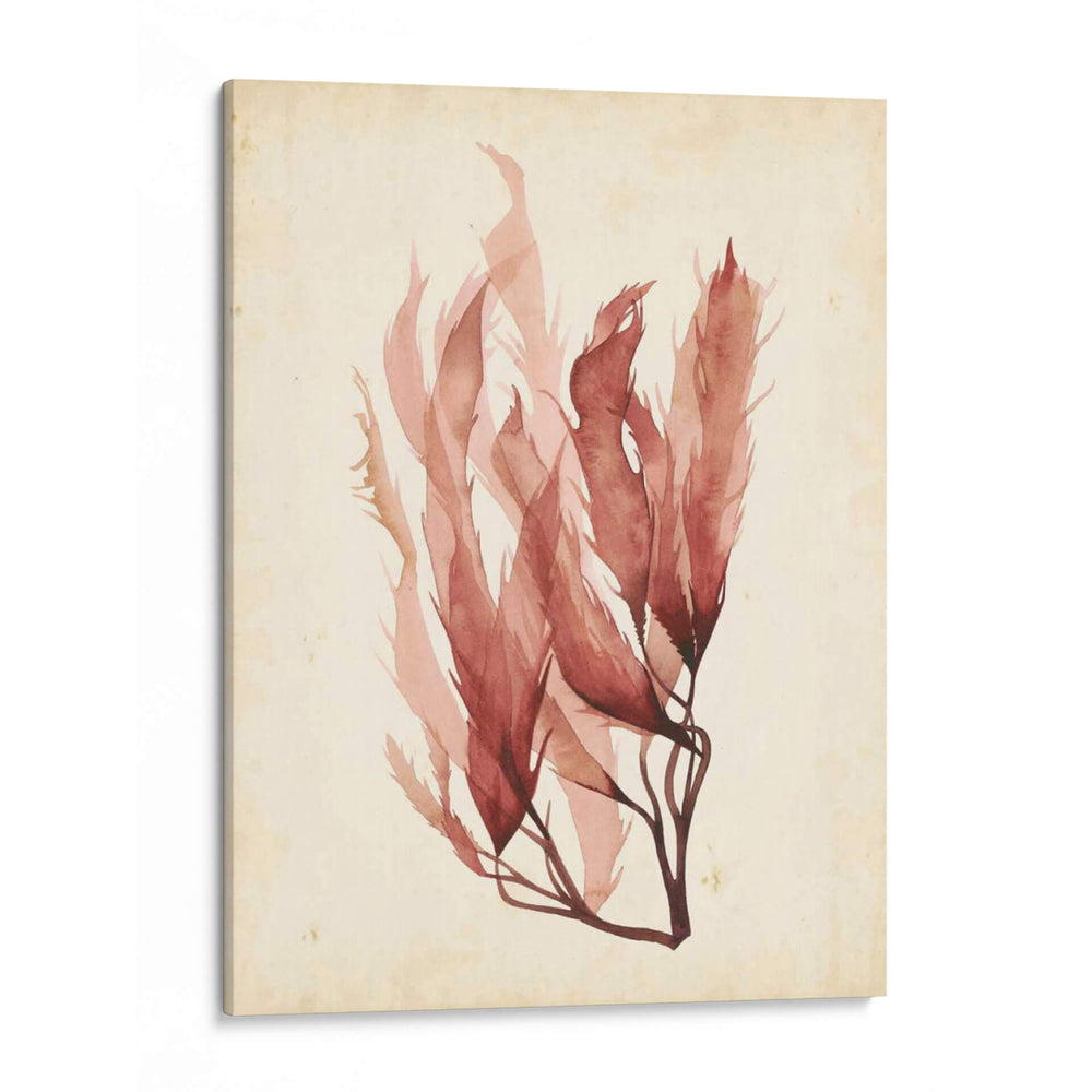 Acuarela Mar Hierba Iv - Grace Popp | Cuadro decorativo de Canvas Lab