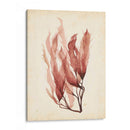 Acuarela Mar Hierba Iv - Grace Popp | Cuadro decorativo de Canvas Lab