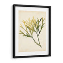 Acuarela Mar Hierba V - Grace Popp | Cuadro decorativo de Canvas Lab