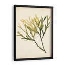 Acuarela Mar Hierba V - Grace Popp | Cuadro decorativo de Canvas Lab