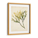 Acuarela Mar Hierba V - Grace Popp | Cuadro decorativo de Canvas Lab
