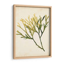 Acuarela Mar Hierba V - Grace Popp | Cuadro decorativo de Canvas Lab