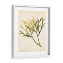 Acuarela Mar Hierba V - Grace Popp | Cuadro decorativo de Canvas Lab