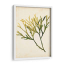 Acuarela Mar Hierba V - Grace Popp | Cuadro decorativo de Canvas Lab