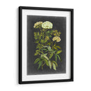 Bookplate Floral I - Naomi McCavitt | Cuadro decorativo de Canvas Lab