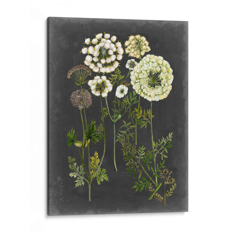 Bookplate Floral Ii - Naomi McCavitt | Cuadro decorativo de Canvas Lab