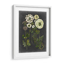 Bookplate Floral Ii - Naomi McCavitt | Cuadro decorativo de Canvas Lab