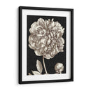 Peonía Dramática I - Vision Studio | Cuadro decorativo de Canvas Lab