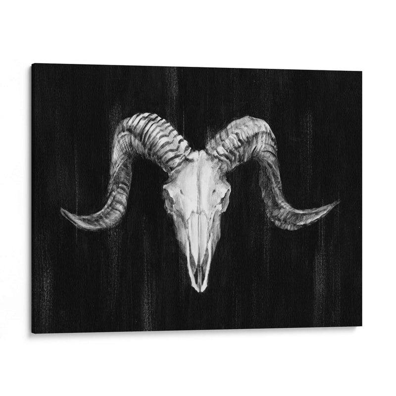 Ram Rot Mount I - Ethan Harper | Cuadro decorativo de Canvas Lab