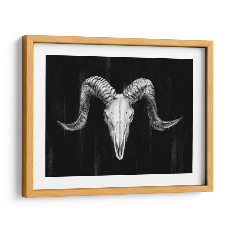 Ram Rot Mount I - Ethan Harper | Cuadro decorativo de Canvas Lab