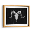 Ram Rot Mount I - Ethan Harper | Cuadro decorativo de Canvas Lab