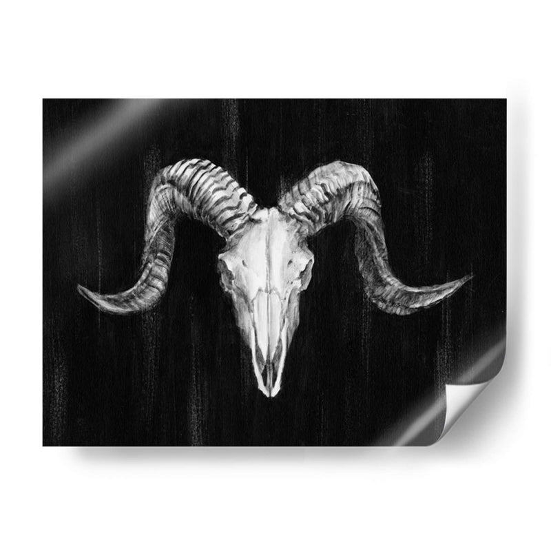 Ram Rot Mount I - Ethan Harper | Cuadro decorativo de Canvas Lab