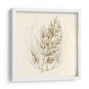 Algas Vivas I - Grace Popp | Cuadro decorativo de Canvas Lab