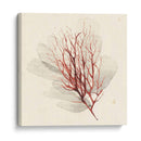 Algas Vívidas Ii - Grace Popp | Cuadro decorativo de Canvas Lab