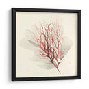 Algas Vívidas Ii - Grace Popp | Cuadro decorativo de Canvas Lab