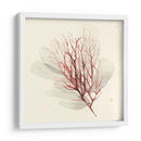 Algas Vívidas Ii - Grace Popp | Cuadro decorativo de Canvas Lab