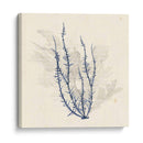 Vivid Algae Iii - Grace Popp | Cuadro decorativo de Canvas Lab