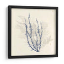 Vivid Algae Iii - Grace Popp | Cuadro decorativo de Canvas Lab