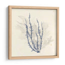 Vivid Algae Iii - Grace Popp | Cuadro decorativo de Canvas Lab