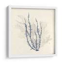 Vivid Algae Iii - Grace Popp | Cuadro decorativo de Canvas Lab