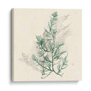 Algas Vívidas Iv - Grace Popp | Cuadro decorativo de Canvas Lab