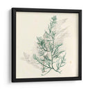 Algas Vívidas Iv - Grace Popp | Cuadro decorativo de Canvas Lab