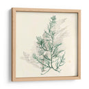 Algas Vívidas Iv - Grace Popp | Cuadro decorativo de Canvas Lab