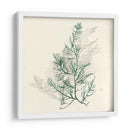 Algas Vívidas Iv - Grace Popp | Cuadro decorativo de Canvas Lab