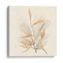 Algas Vivas V - Grace Popp | Cuadro decorativo de Canvas Lab