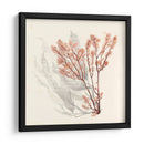 Algas Vívidas Vi - Grace Popp | Cuadro decorativo de Canvas Lab