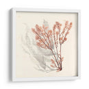 Algas Vívidas Vi - Grace Popp | Cuadro decorativo de Canvas Lab