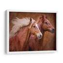 Raza Pura - Ozana Sturgeon | Cuadro decorativo de Canvas Lab