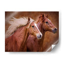 Raza Pura - Ozana Sturgeon | Cuadro decorativo de Canvas Lab