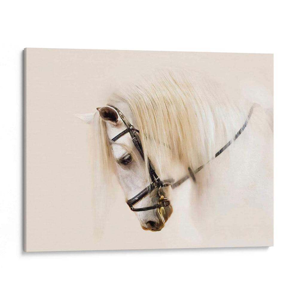 Pura Raza Ii - Ozana Sturgeon | Cuadro decorativo de Canvas Lab