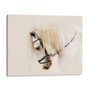 Pura Raza Ii - Ozana Sturgeon | Cuadro decorativo de Canvas Lab