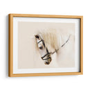 Pura Raza Ii - Ozana Sturgeon | Cuadro decorativo de Canvas Lab