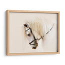 Pura Raza Ii - Ozana Sturgeon | Cuadro decorativo de Canvas Lab