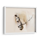 Pura Raza Ii - Ozana Sturgeon | Cuadro decorativo de Canvas Lab