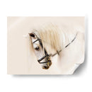 Pura Raza Ii - Ozana Sturgeon | Cuadro decorativo de Canvas Lab