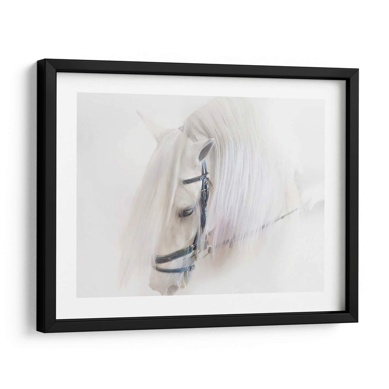 Pura Sangre Iii - Ozana Sturgeon | Cuadro decorativo de Canvas Lab