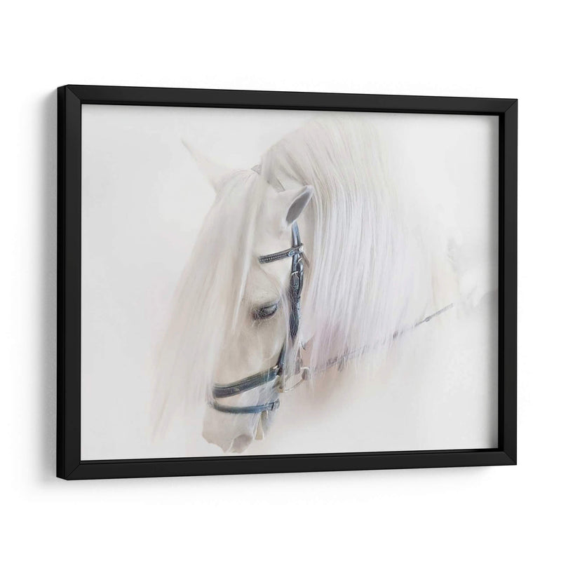 Pura Sangre Iii - Ozana Sturgeon | Cuadro decorativo de Canvas Lab