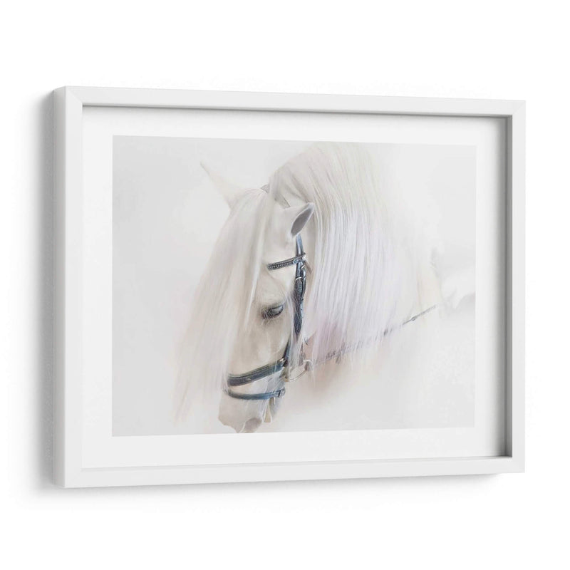 Pura Sangre Iii - Ozana Sturgeon | Cuadro decorativo de Canvas Lab