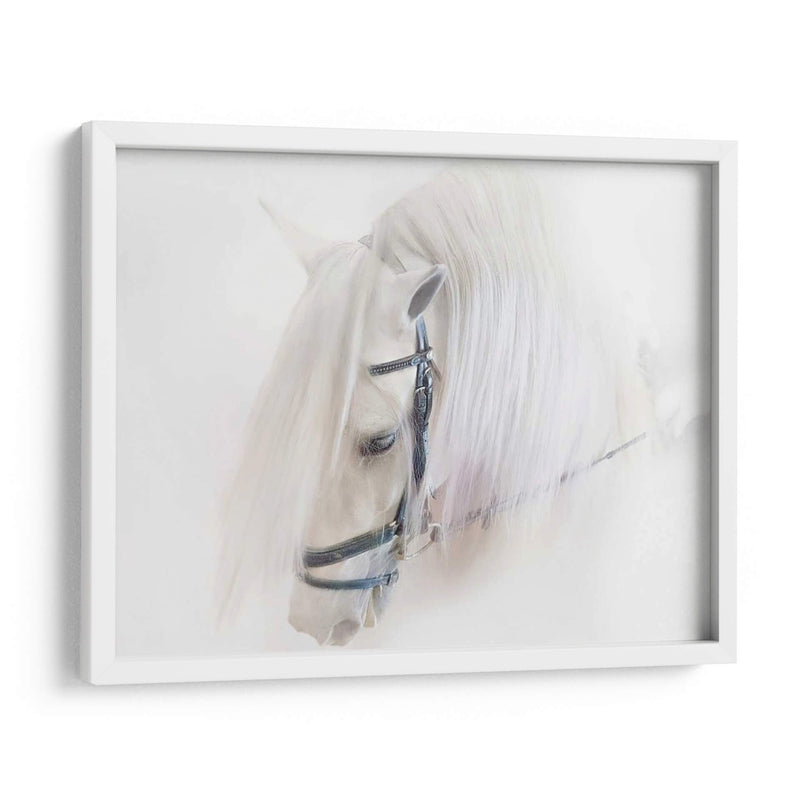 Pura Sangre Iii - Ozana Sturgeon | Cuadro decorativo de Canvas Lab