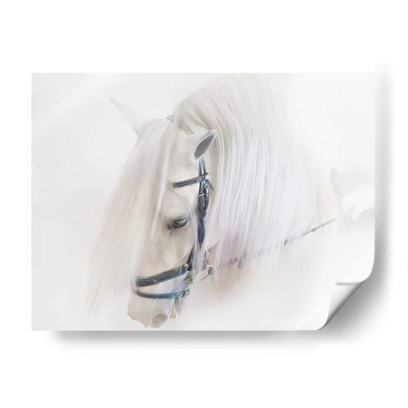 Pura Sangre Iii - Ozana Sturgeon | Cuadro decorativo de Canvas Lab