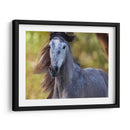 Caballo En El Campo I - Ozana Sturgeon | Cuadro decorativo de Canvas Lab