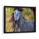 Caballo En El Campo I - Ozana Sturgeon | Cuadro decorativo de Canvas Lab